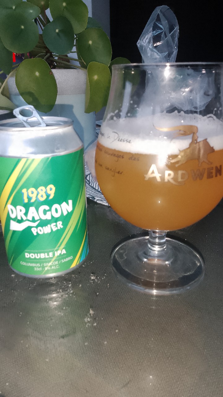 Dragon Power, France