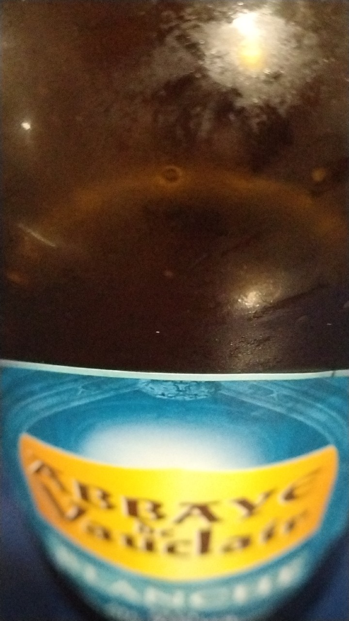 Abbaye De Vauclair - Blanche, France