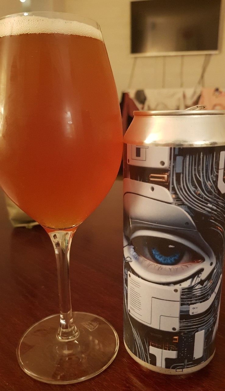 Cyborg, Sweden