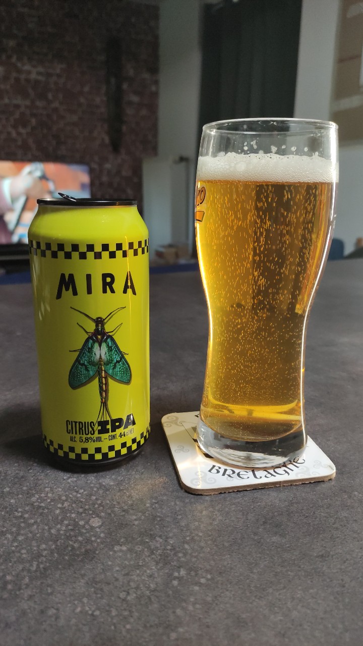 Citrus IPA, France