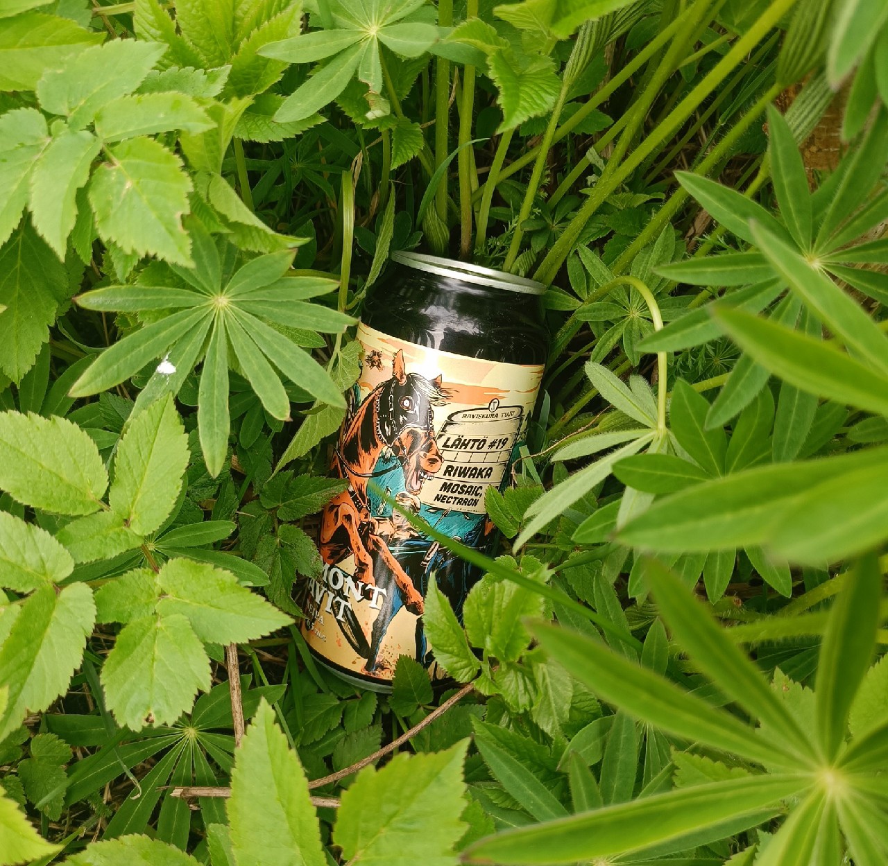 Vermont Ravit Lähtö #19, Finland