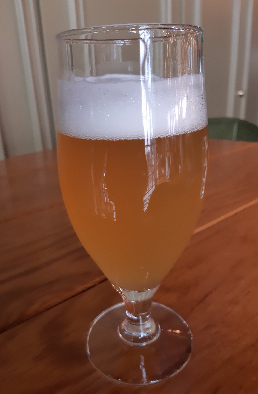 Gymnastic Flies, Estonia