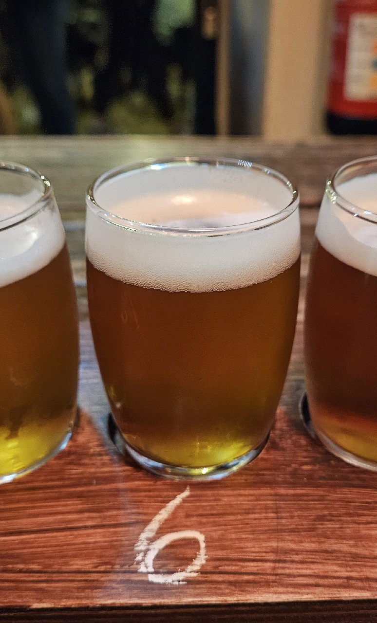 Alpha, Duque Brewpub