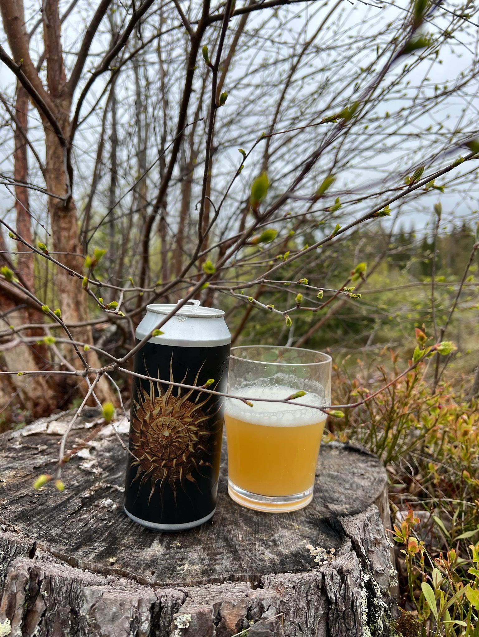 Patrons Project 42.04 // Waning Ember, England