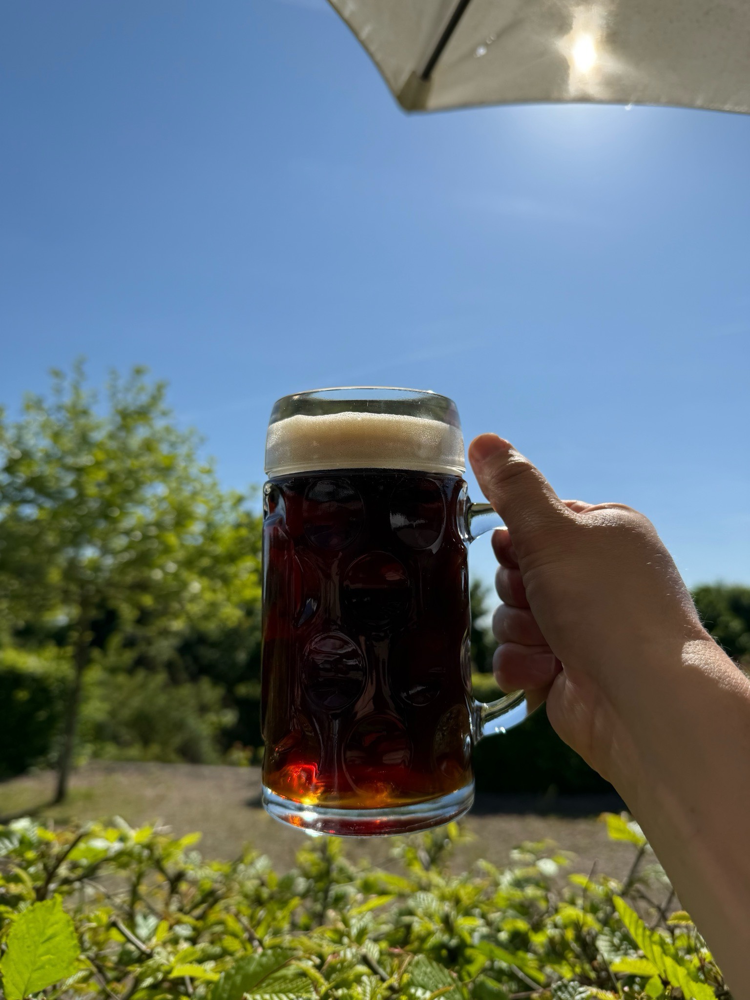 Donatus Dunkel, Hochwälder