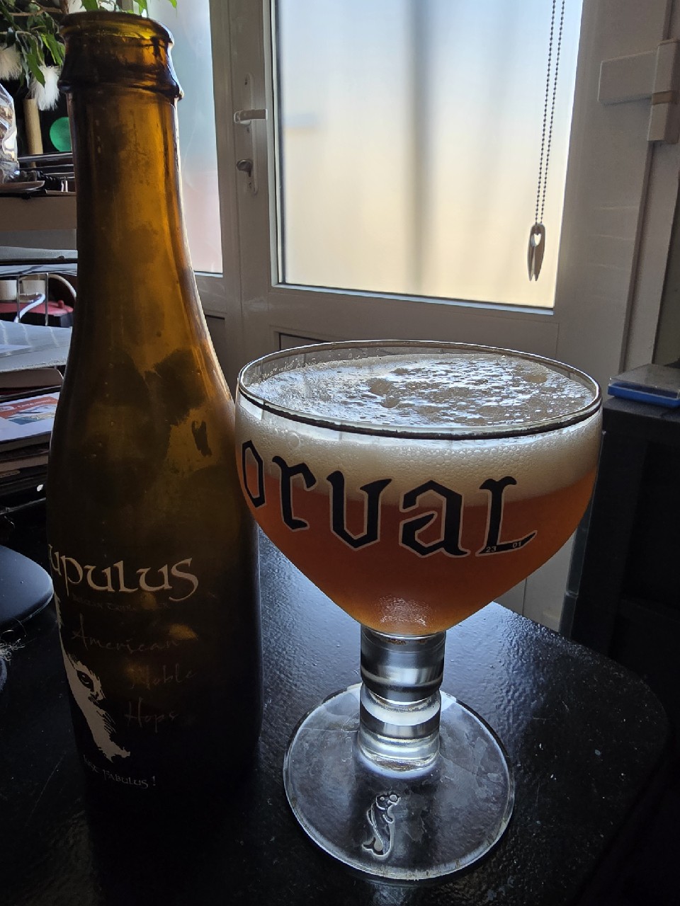 Lupulus American Noble Hops, Belgium