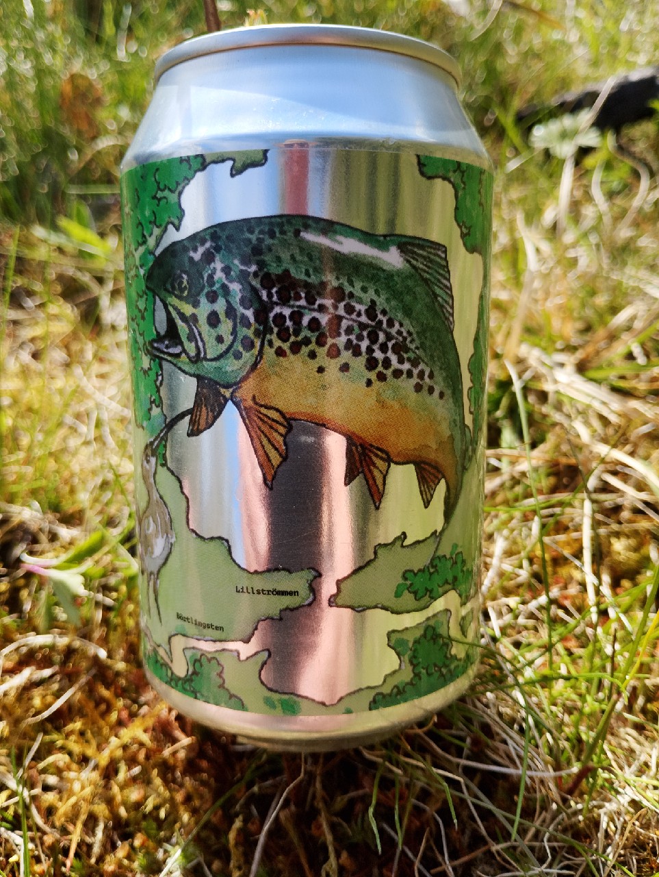 Lillbörtingen, Sweden