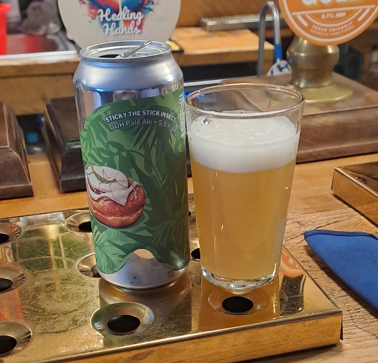 sticky the stick insect, England