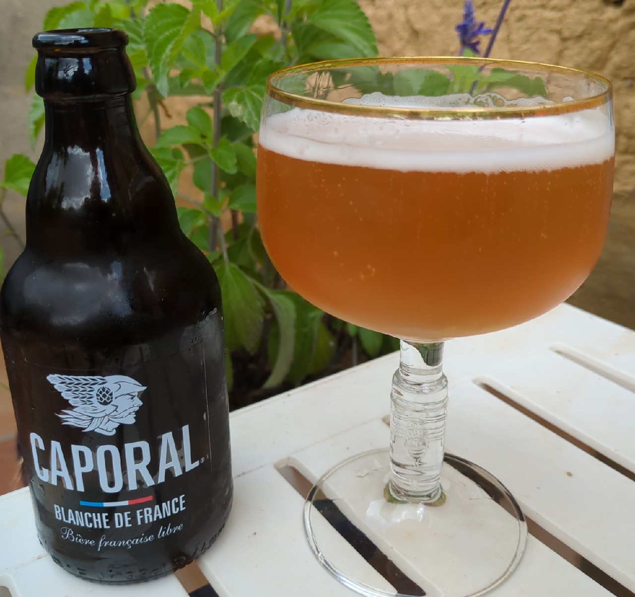 Blanche De France, France