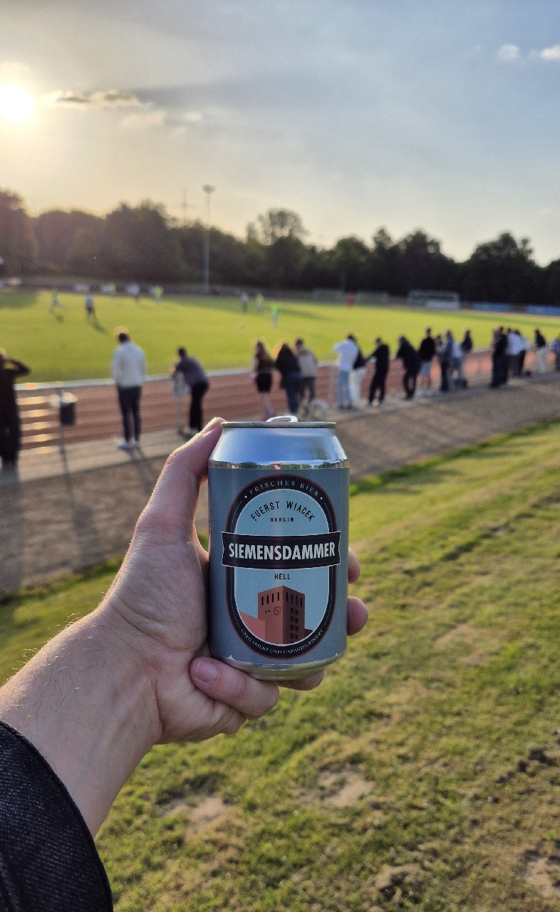 Siemensdammer, Germany