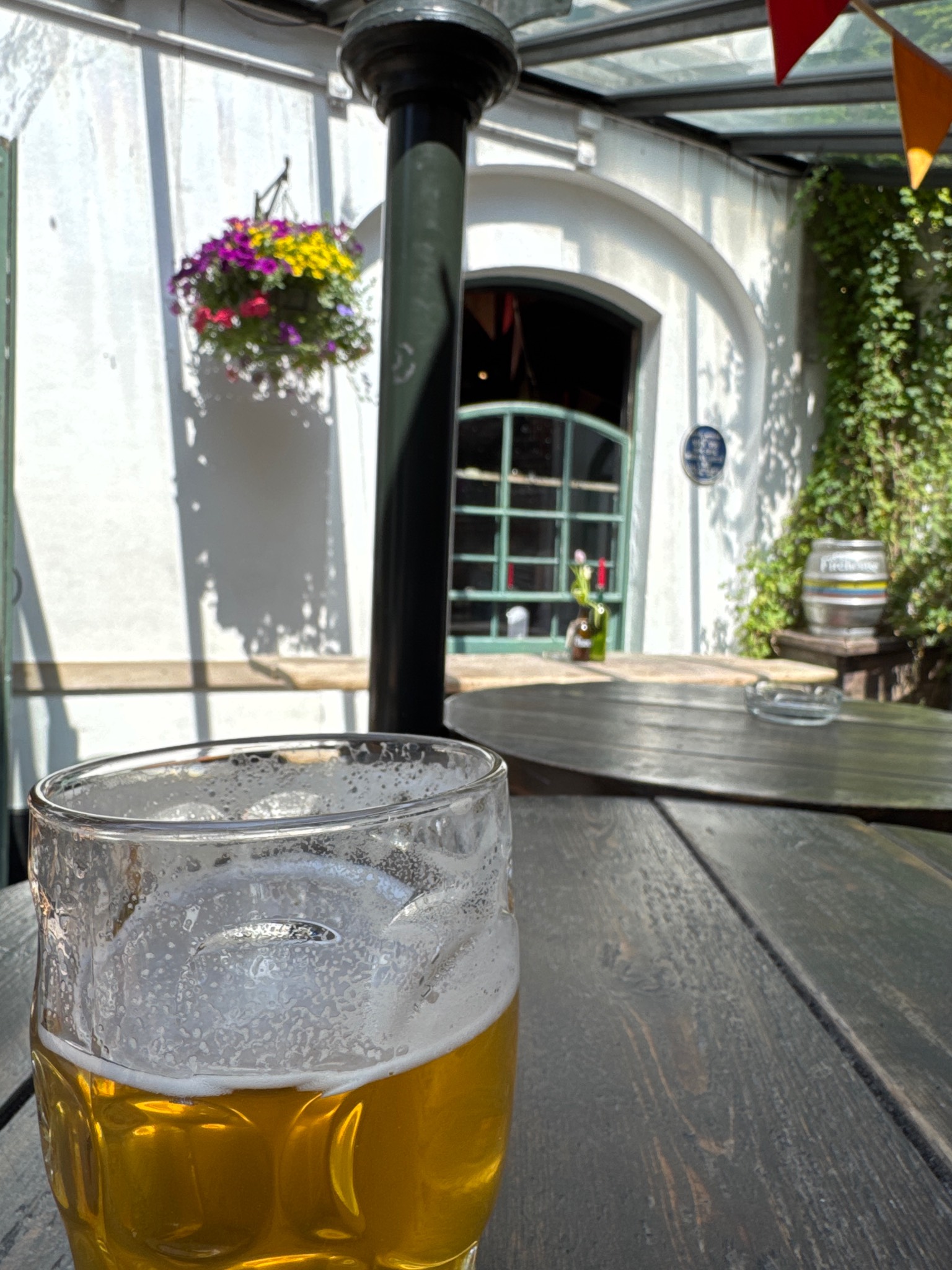 avocet, Exeter Brewery Ltd
