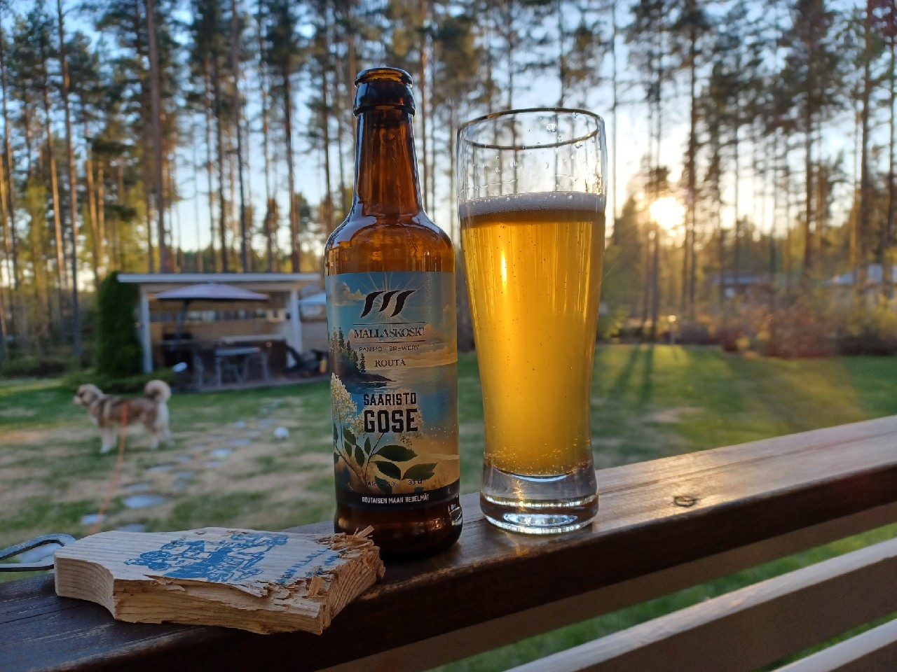 Routa Saaristo Gose, Finland