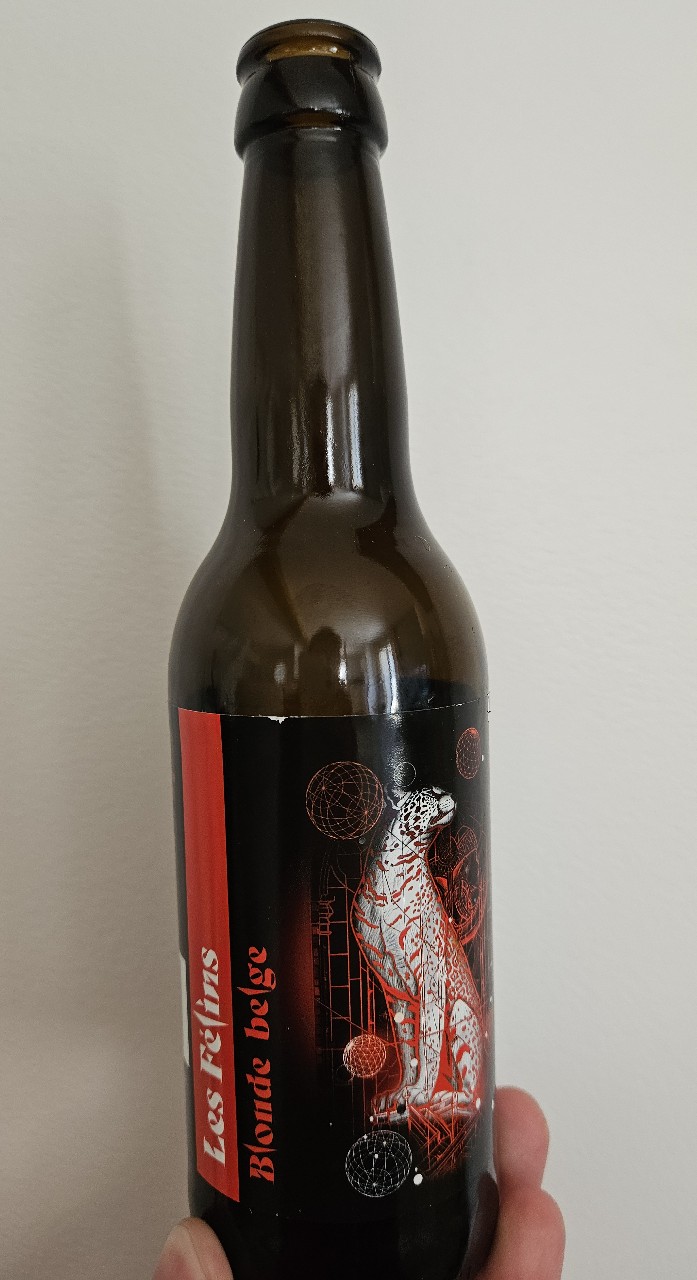 Les Félins Blonde Belge, France