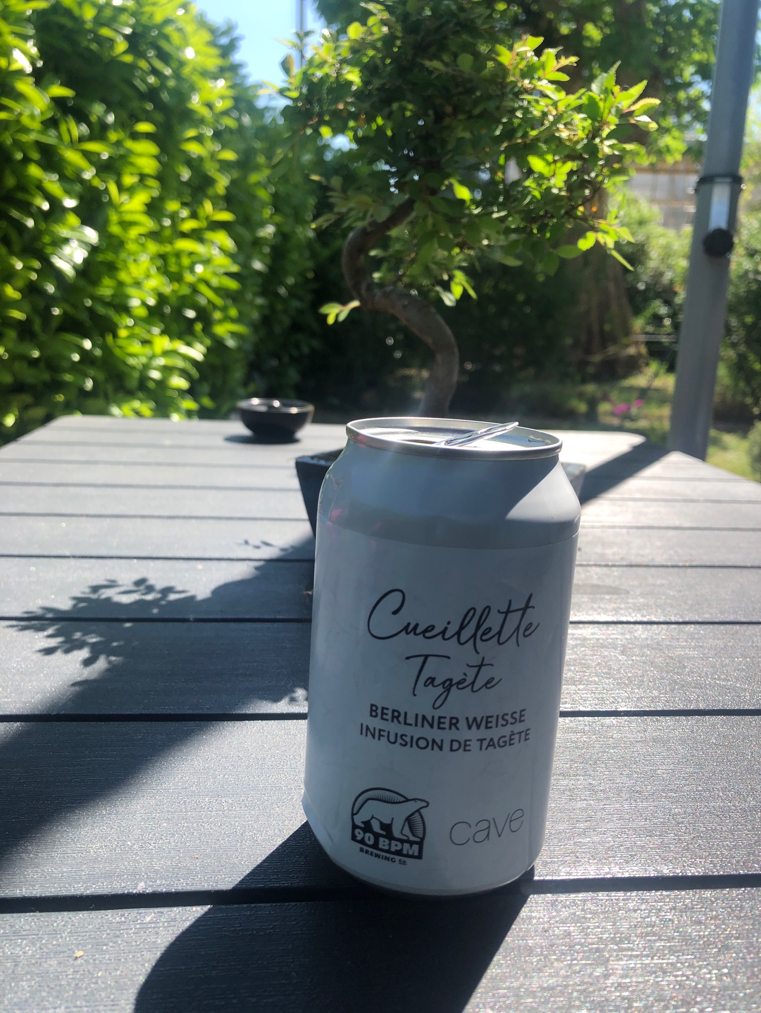 Cueillette Tagète, France