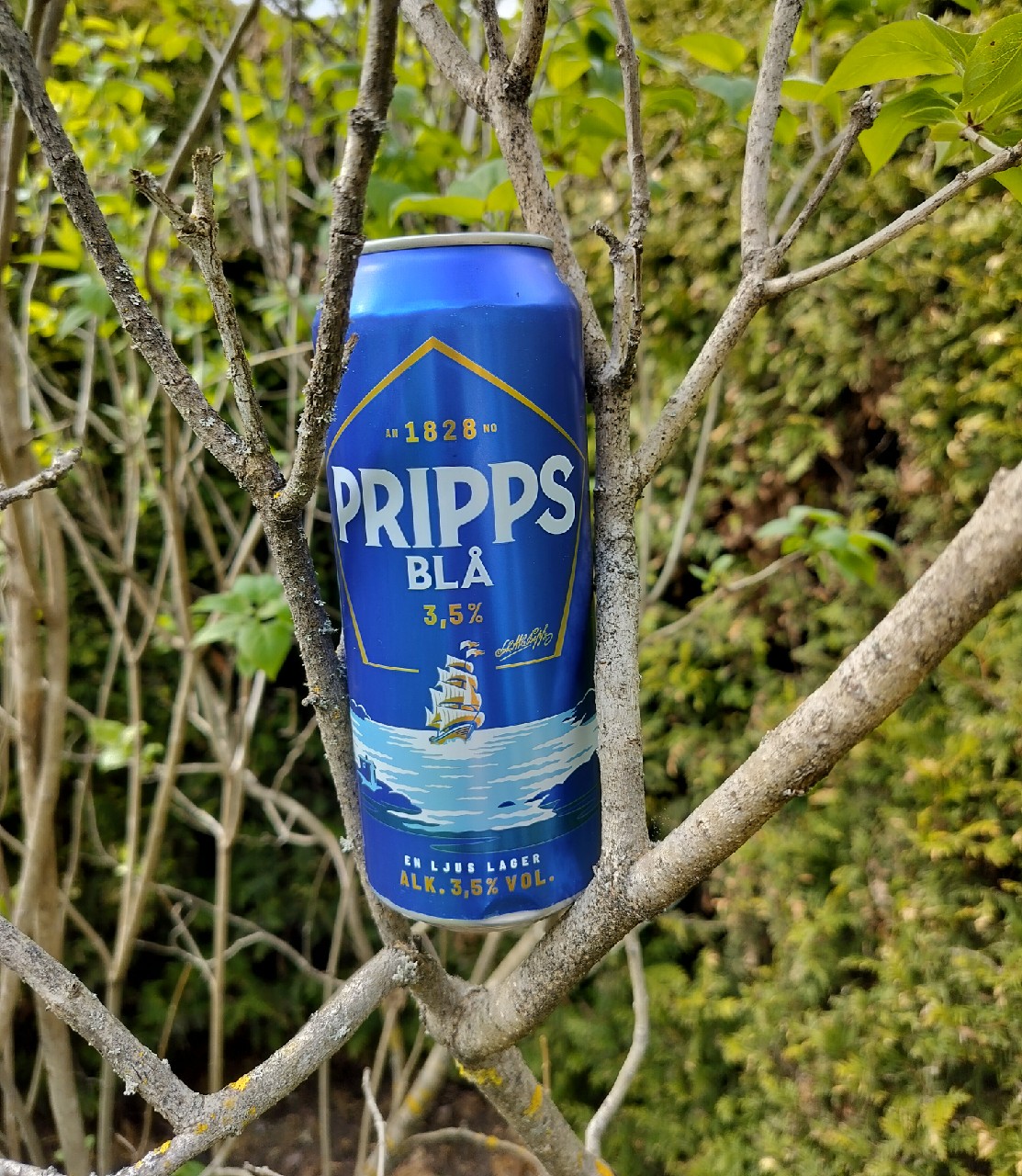 Pripps Blå Pure 3.5 %, Sweden