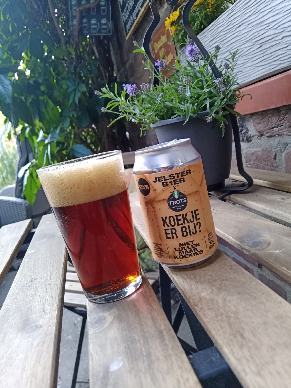 Koekje er bij?, Brouwerij Jelster
