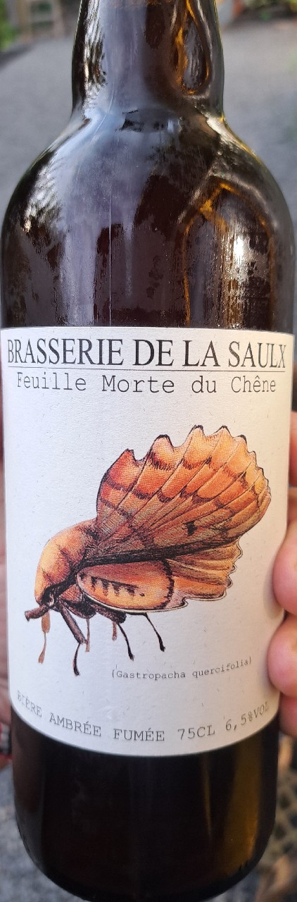 Feuille Morte Du Chêne, France