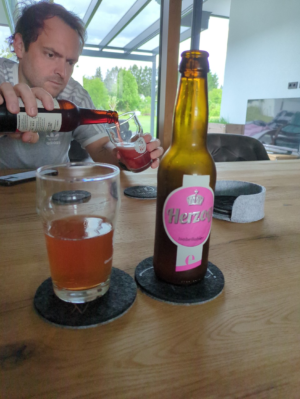 Herzogs isabellabier, Herzog