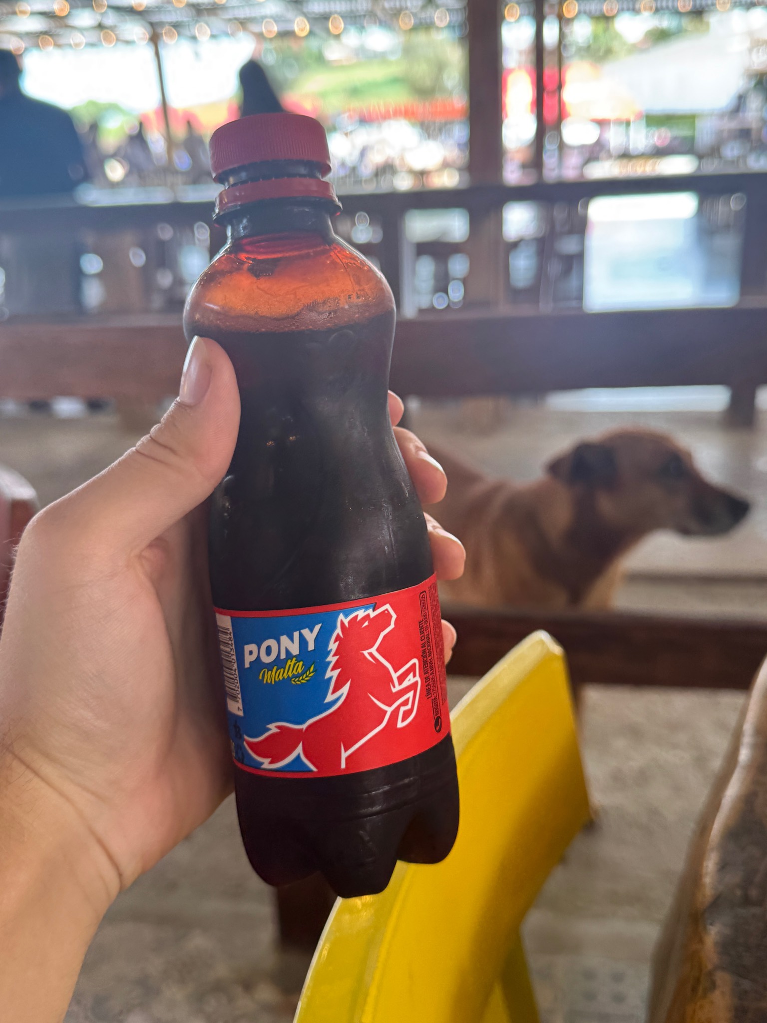 Pony Malta, Cervecería Bavaria SA
