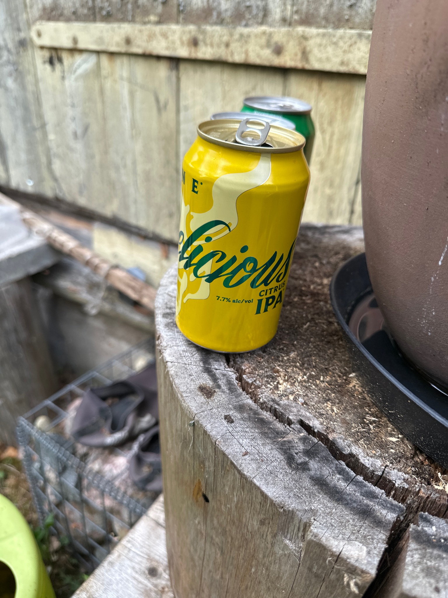 Delicious Citrus IPA, United States