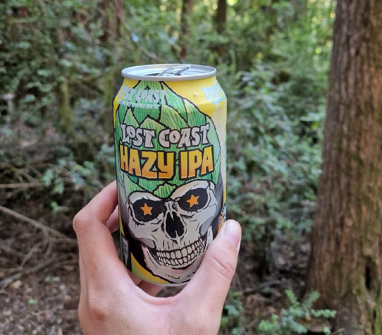 Lost Coast Hazy IPA, United States