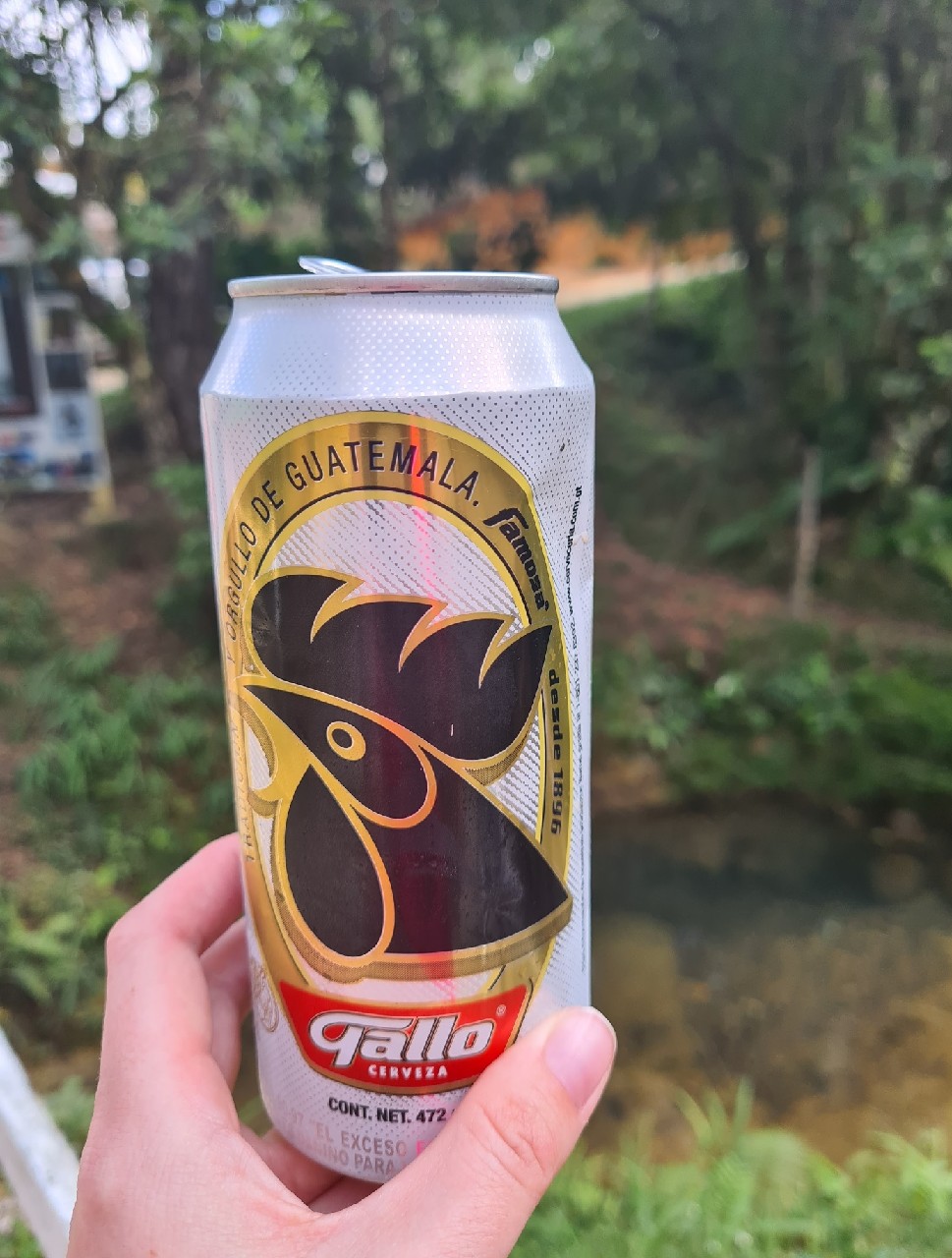 Gallo, Guatemala
