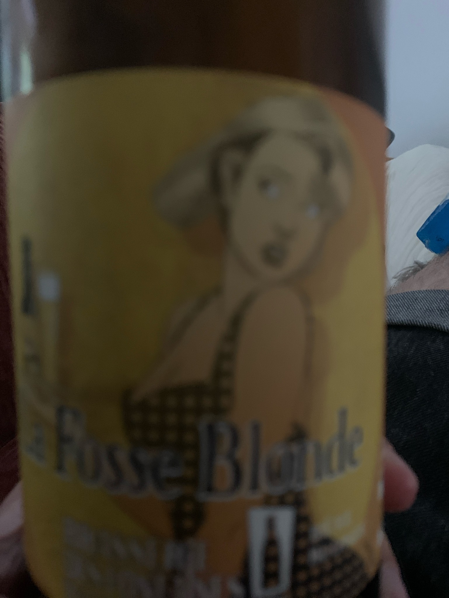 La Fosse Blonde, Brasserie Des Fontaines