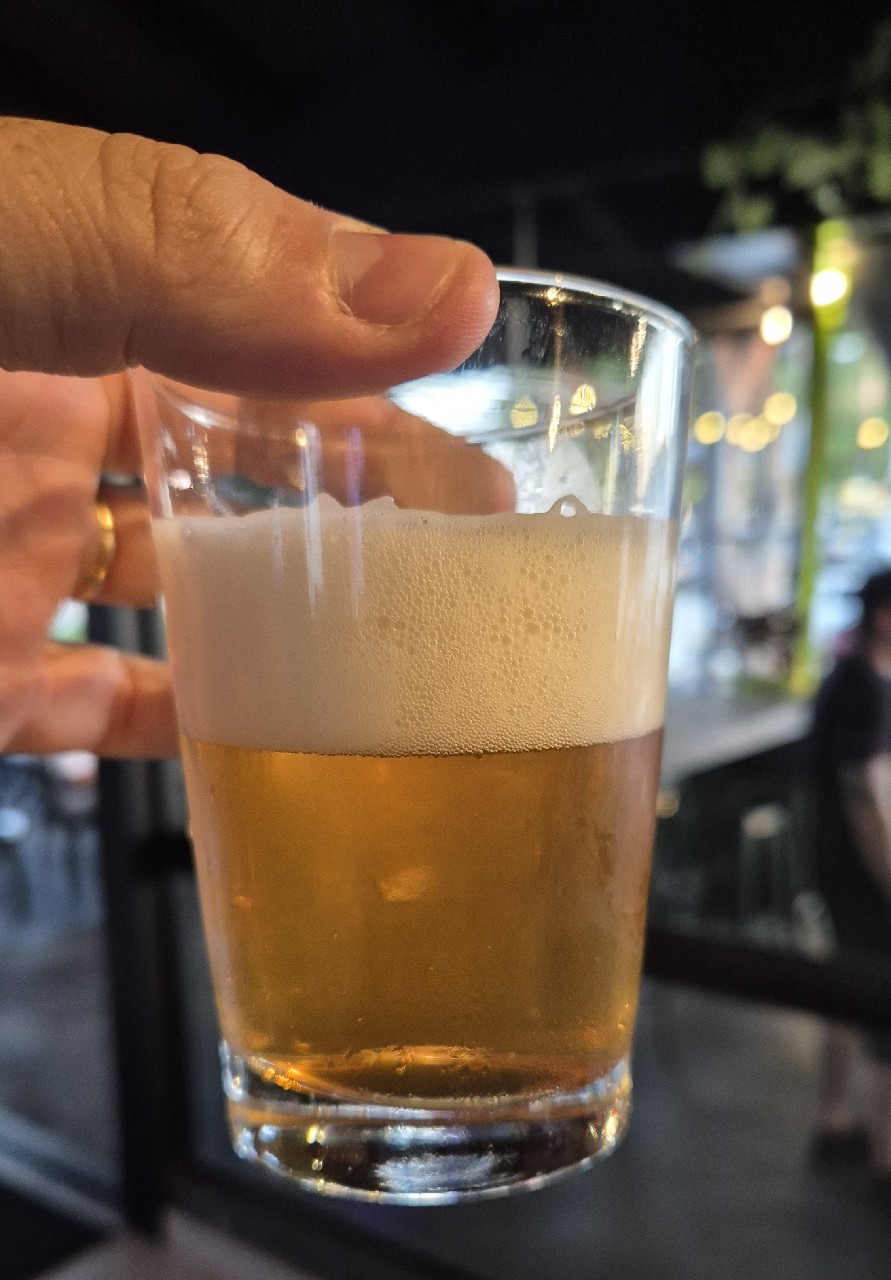 Hemp Bear, Bier in Box