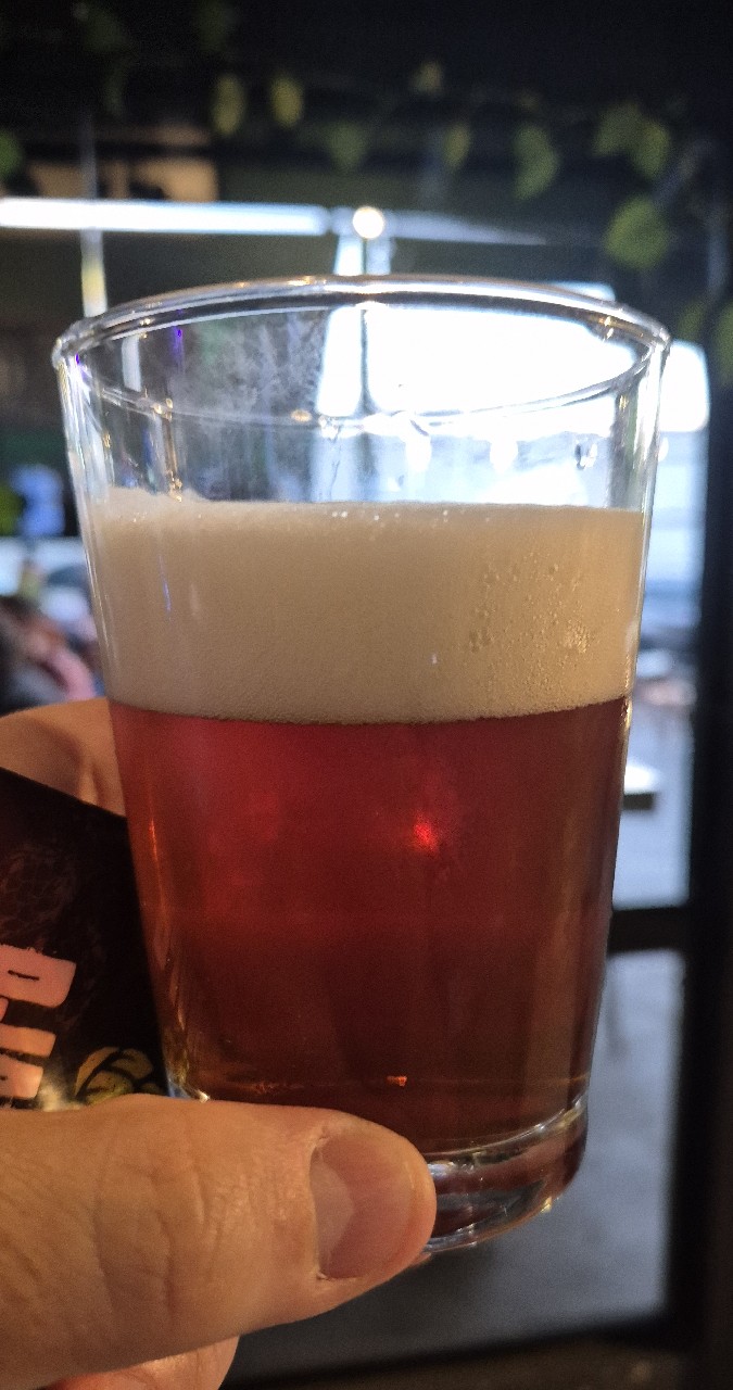 Irish Red Ale, Cervejaria ZEV