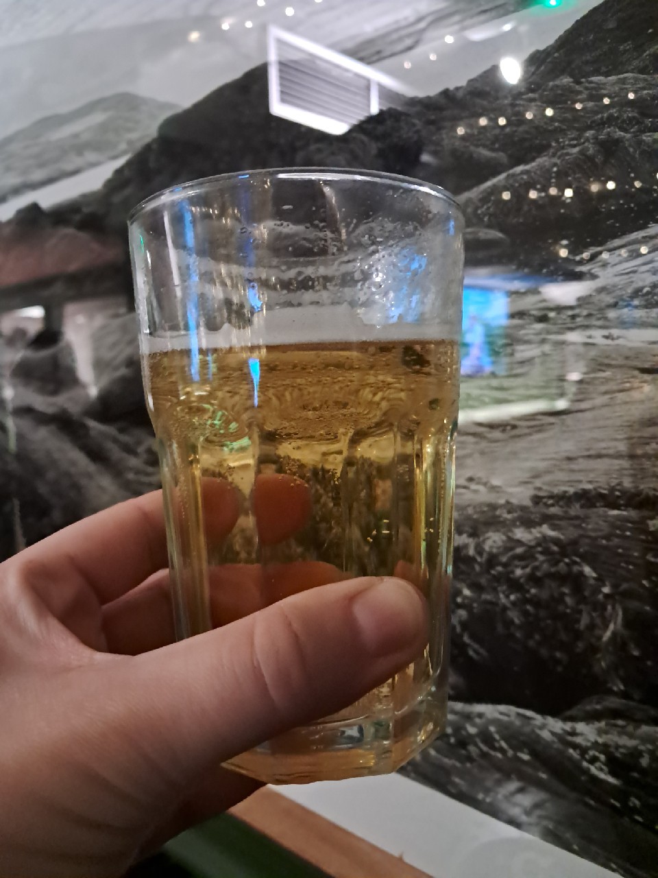 pilsner, Beara Irish Brewing Company