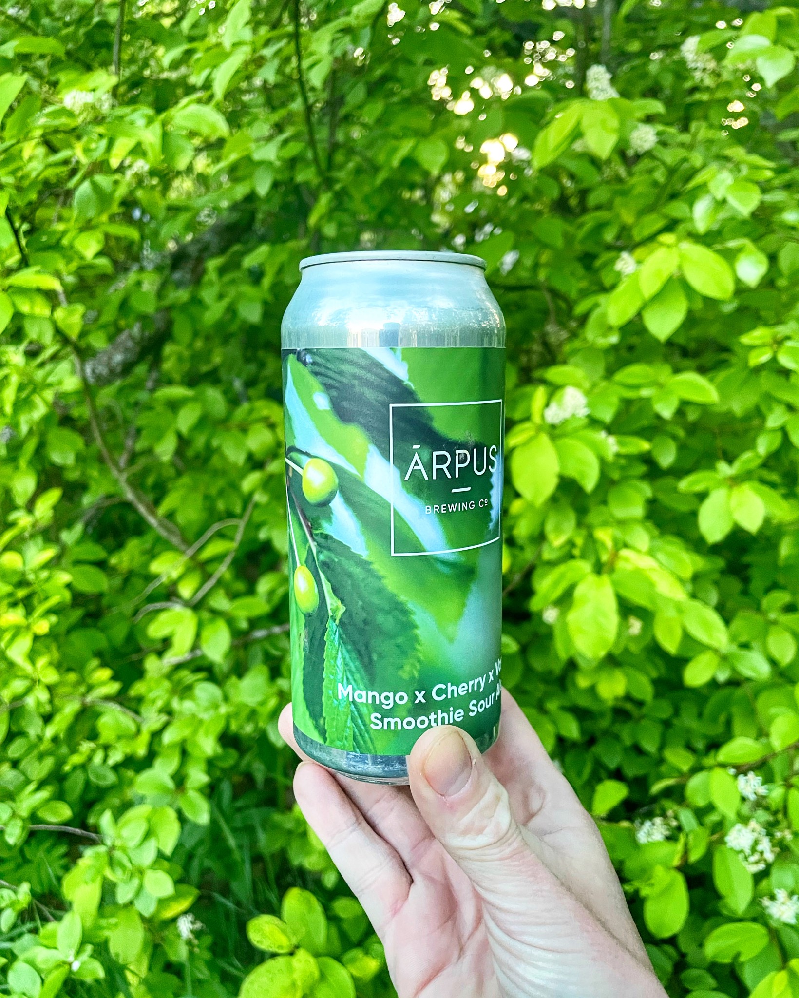 Mango x Cherry x Vanilla Smoothie Sour Ale, Latvia