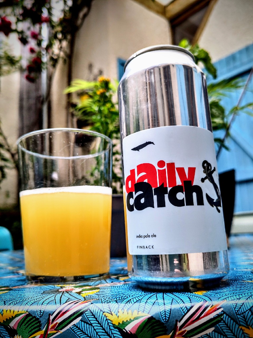 Daily Catch, United States