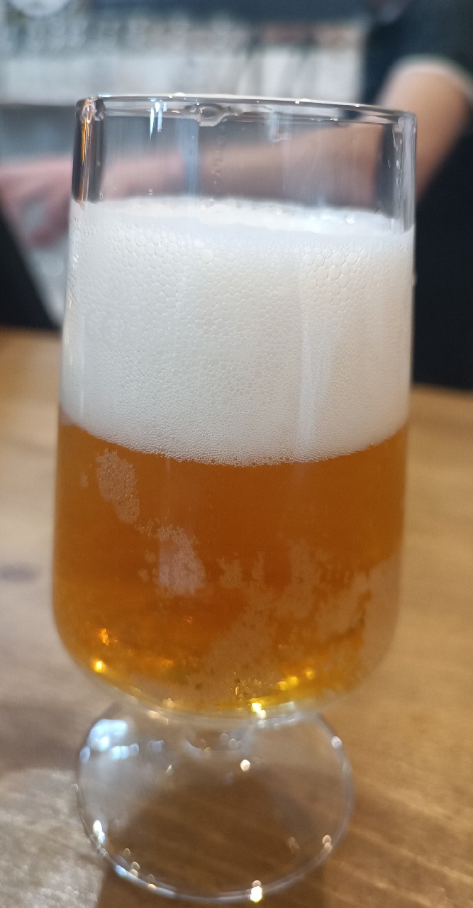 Magnifica Cerveja Artesanal Alentejo-IPA, Portugal