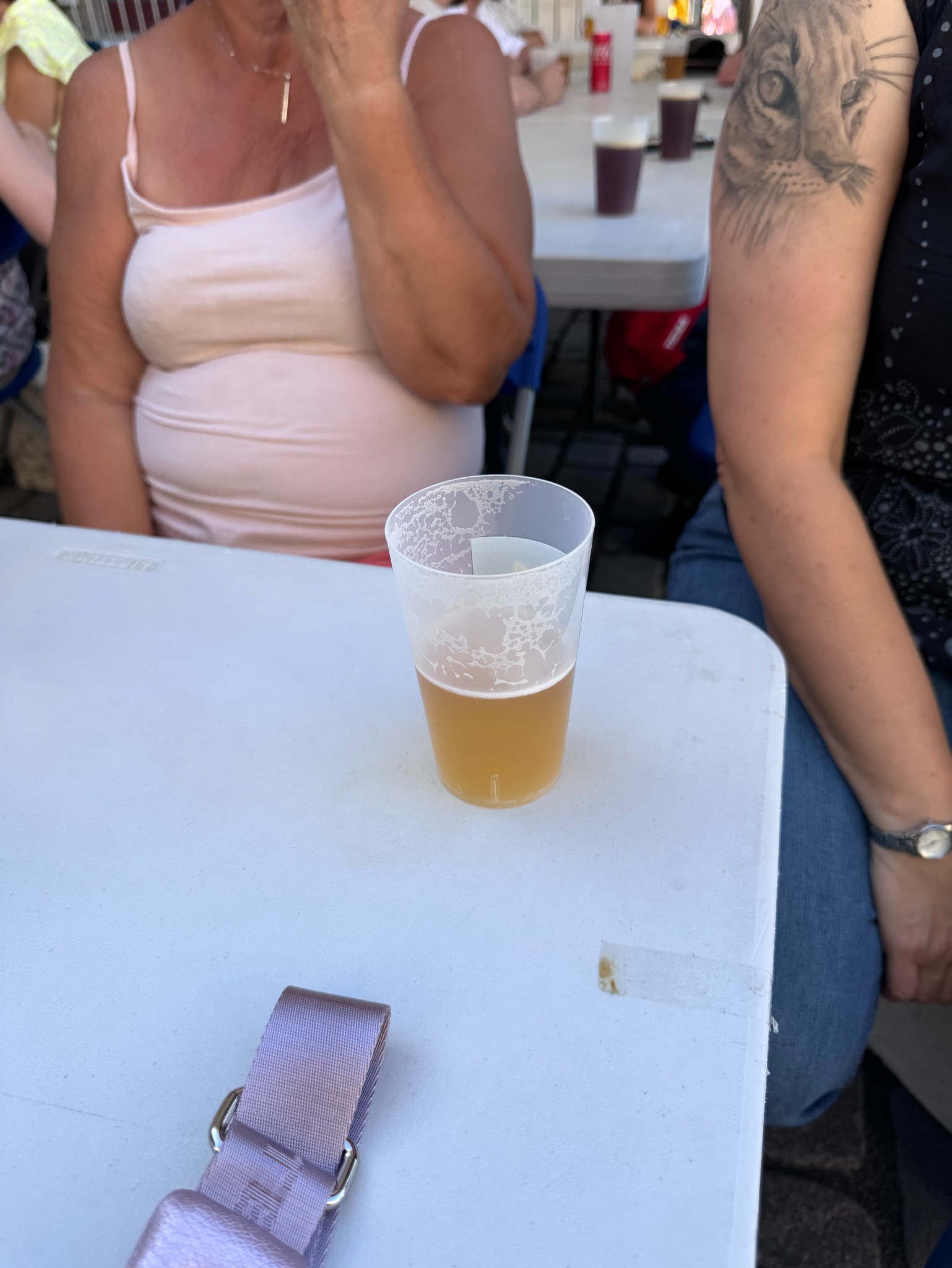 Pilsner Chat Roux, Brasserie du Chat Roux