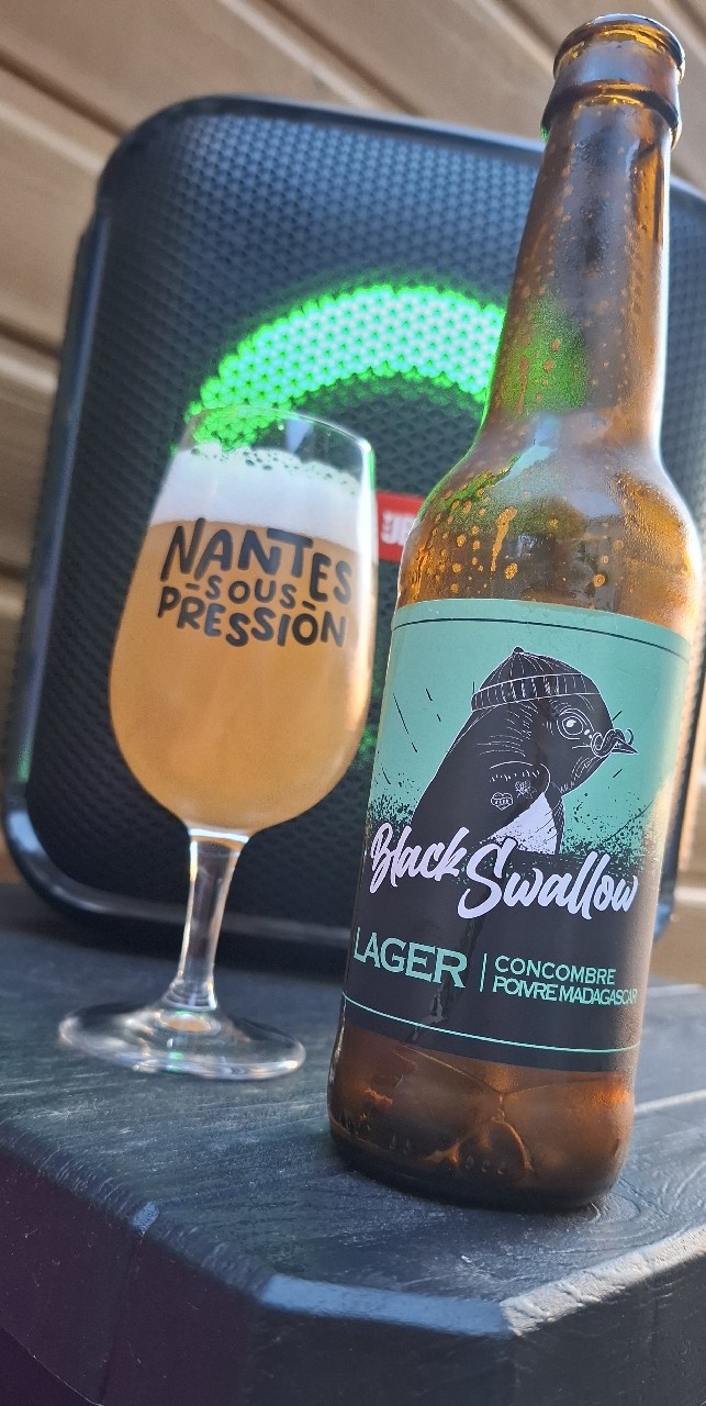 black swallow, France