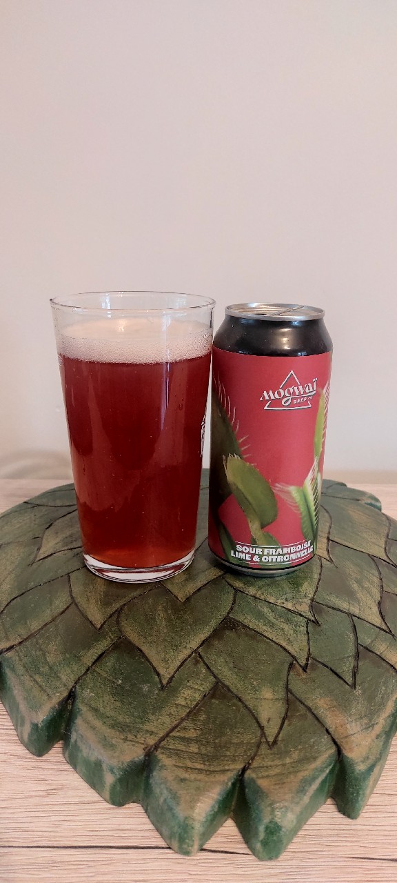 Dead Mosquitos Club, France