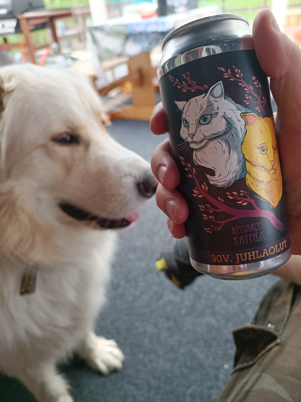 Kissakoti Kattila 30v. Juhlaolut, Finland