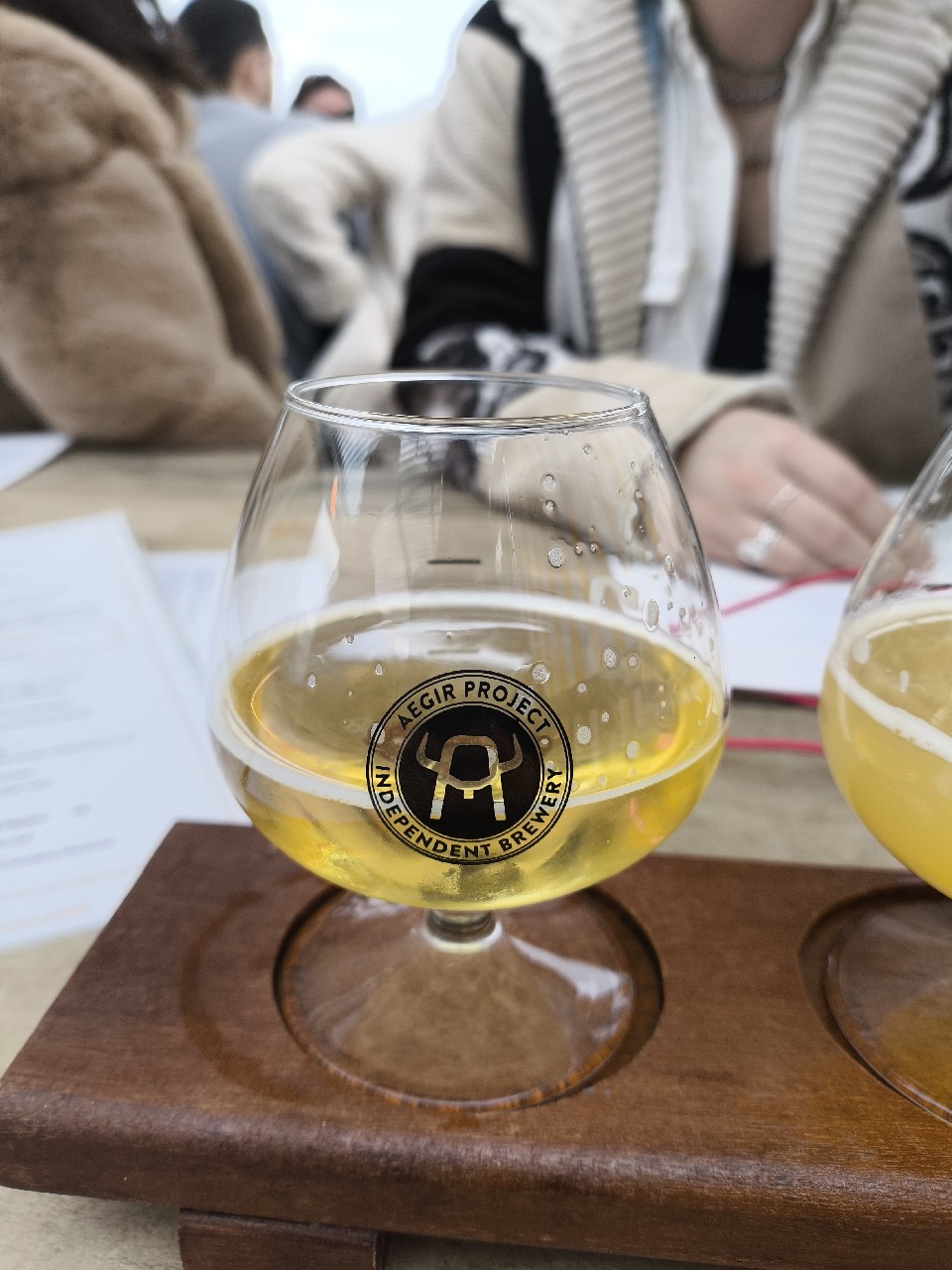 aegier mexican lager, Aegir Project