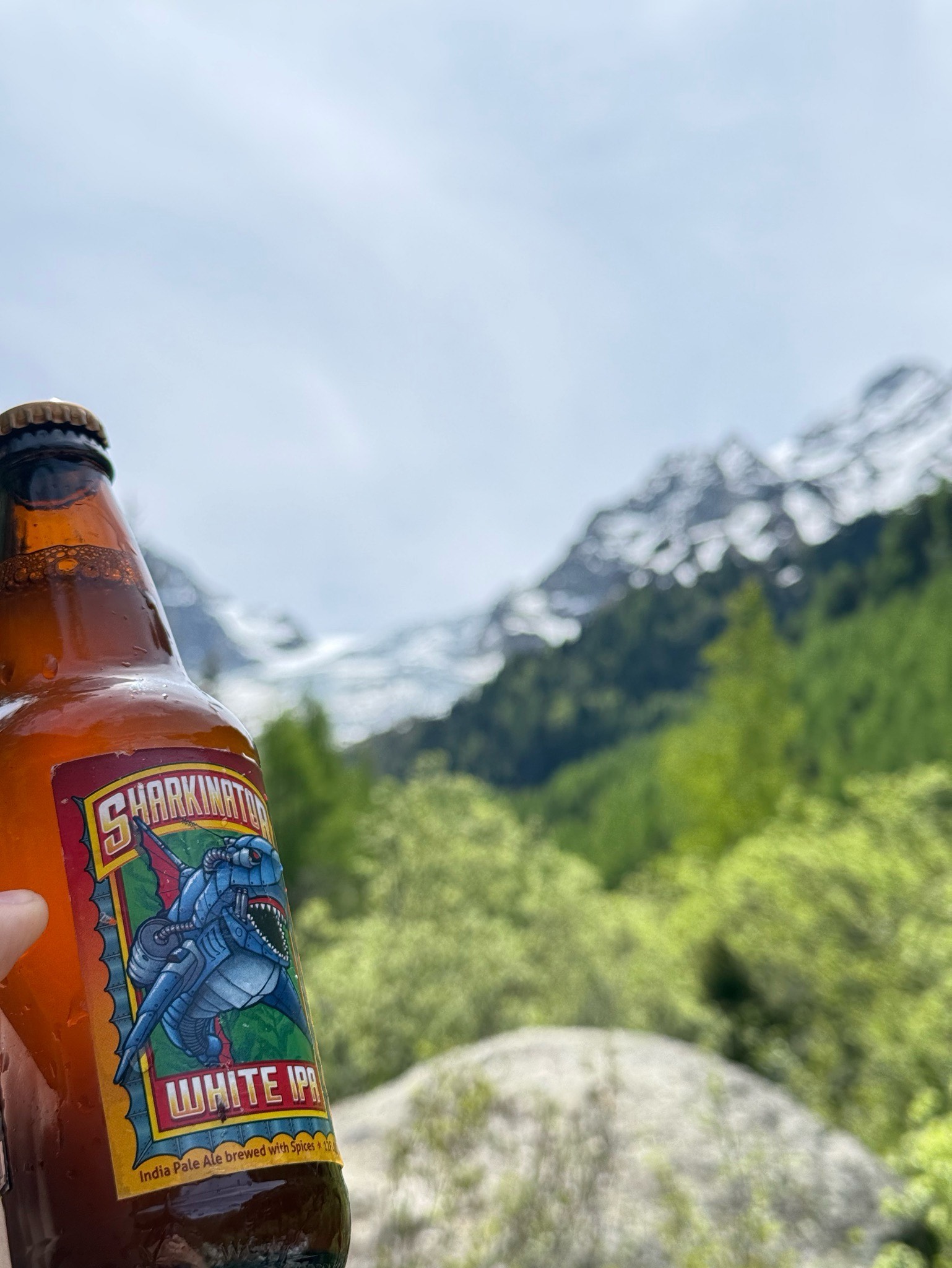 Sharkinator, Lost Coast Brewery