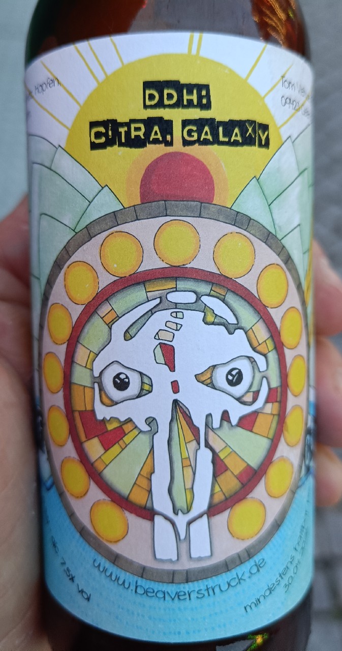 STATE OF CONFUSION, Germany