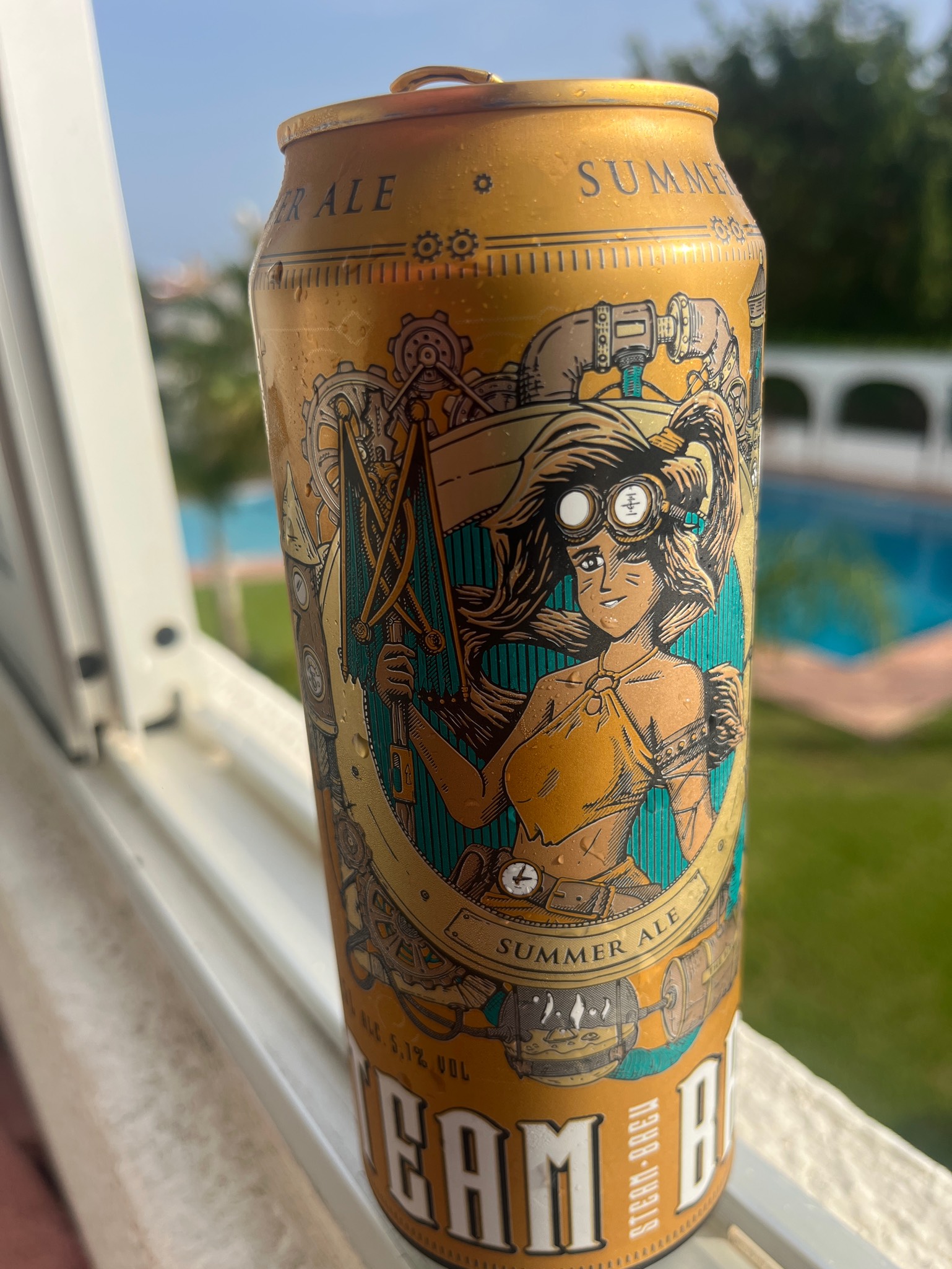 Steam Brew Summer Ale, Germany