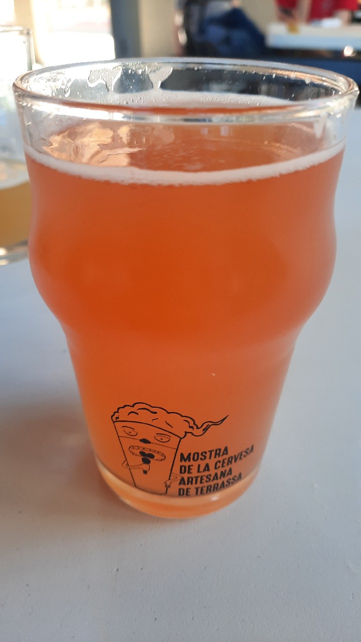 Experimental #1, Spain