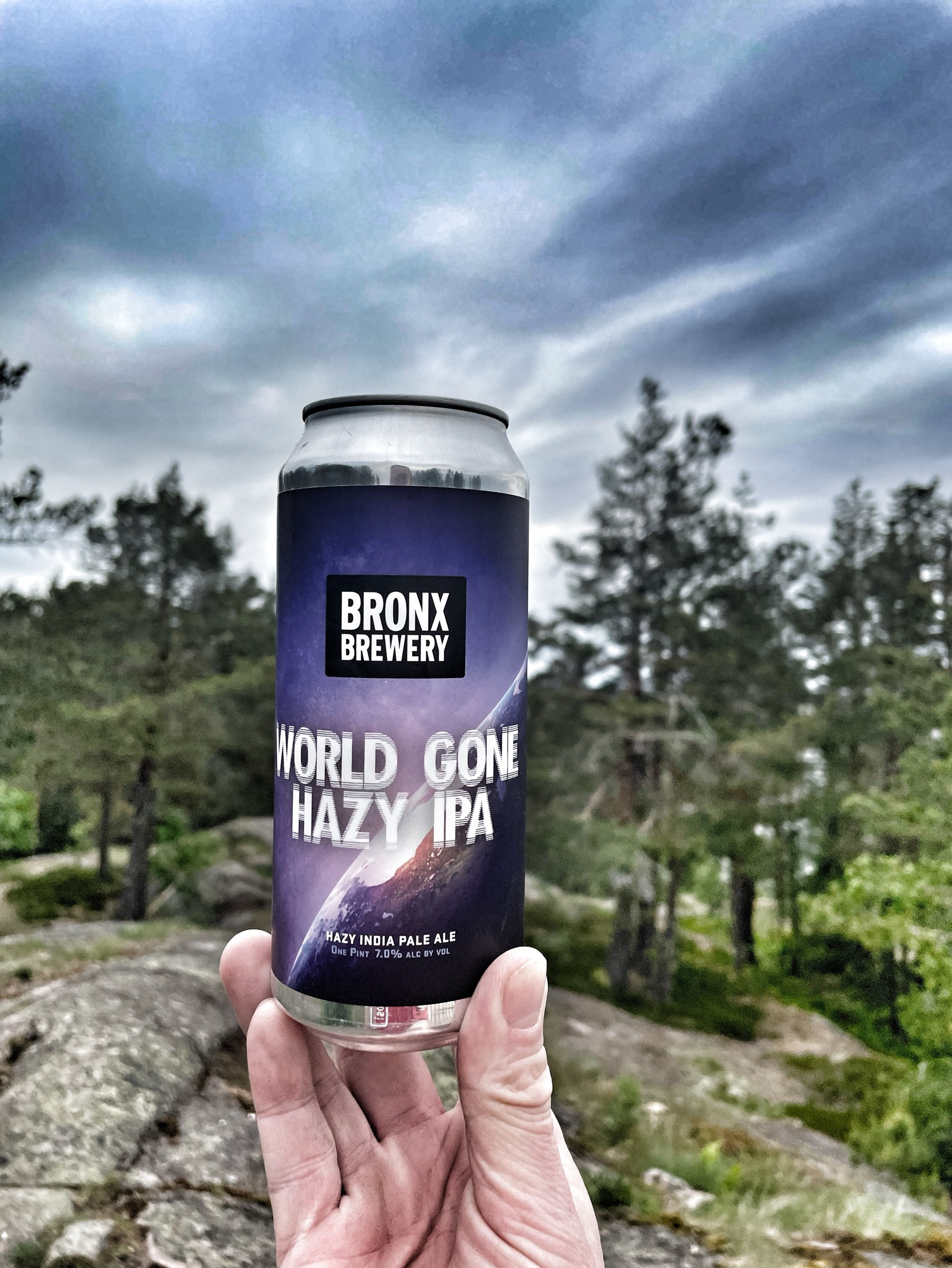 World Gone Hazy IPA, The Bronx Brewery