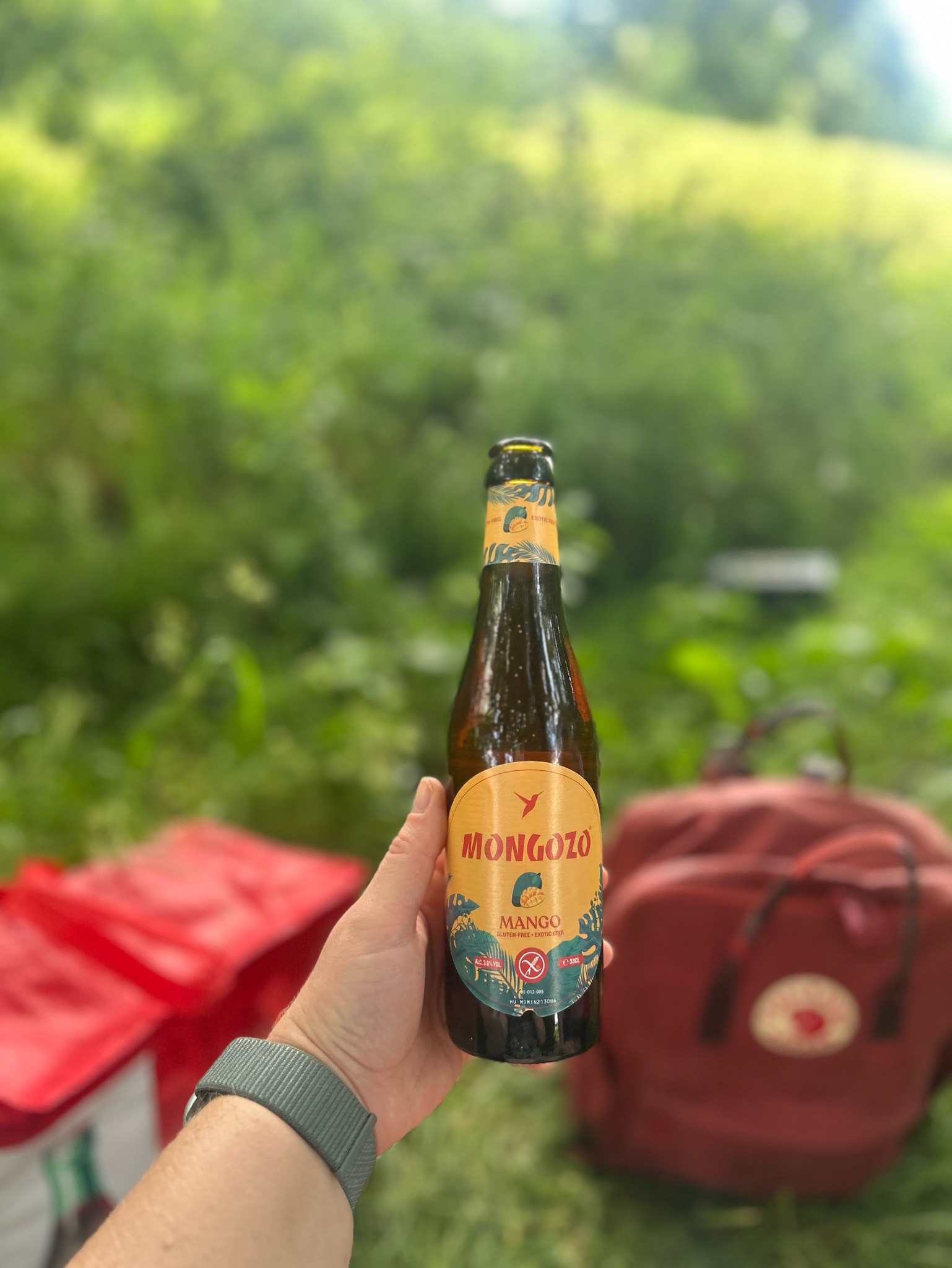 Mongozo Mango, Belgium
