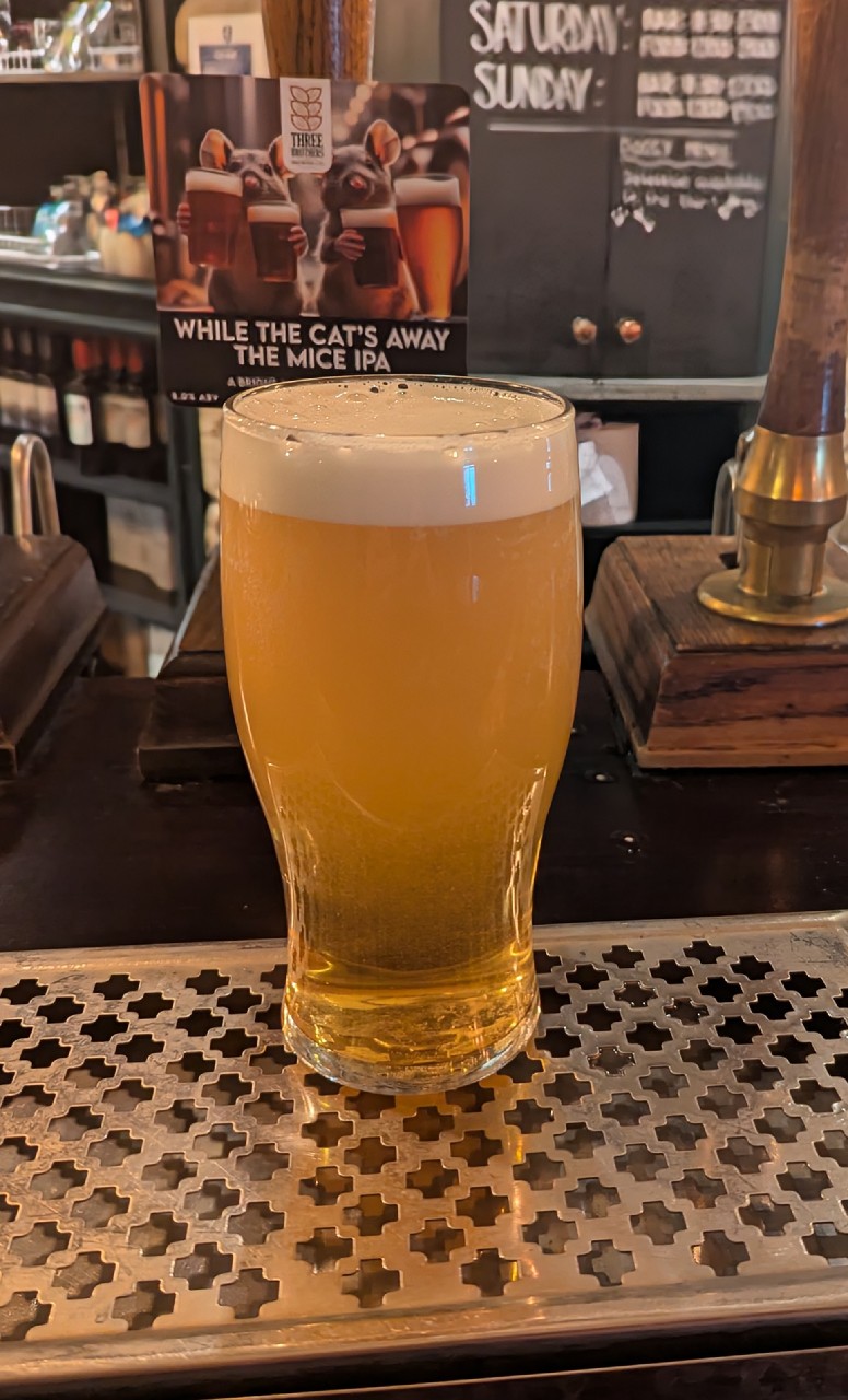 While The Cat's Away The Mice IPA, England