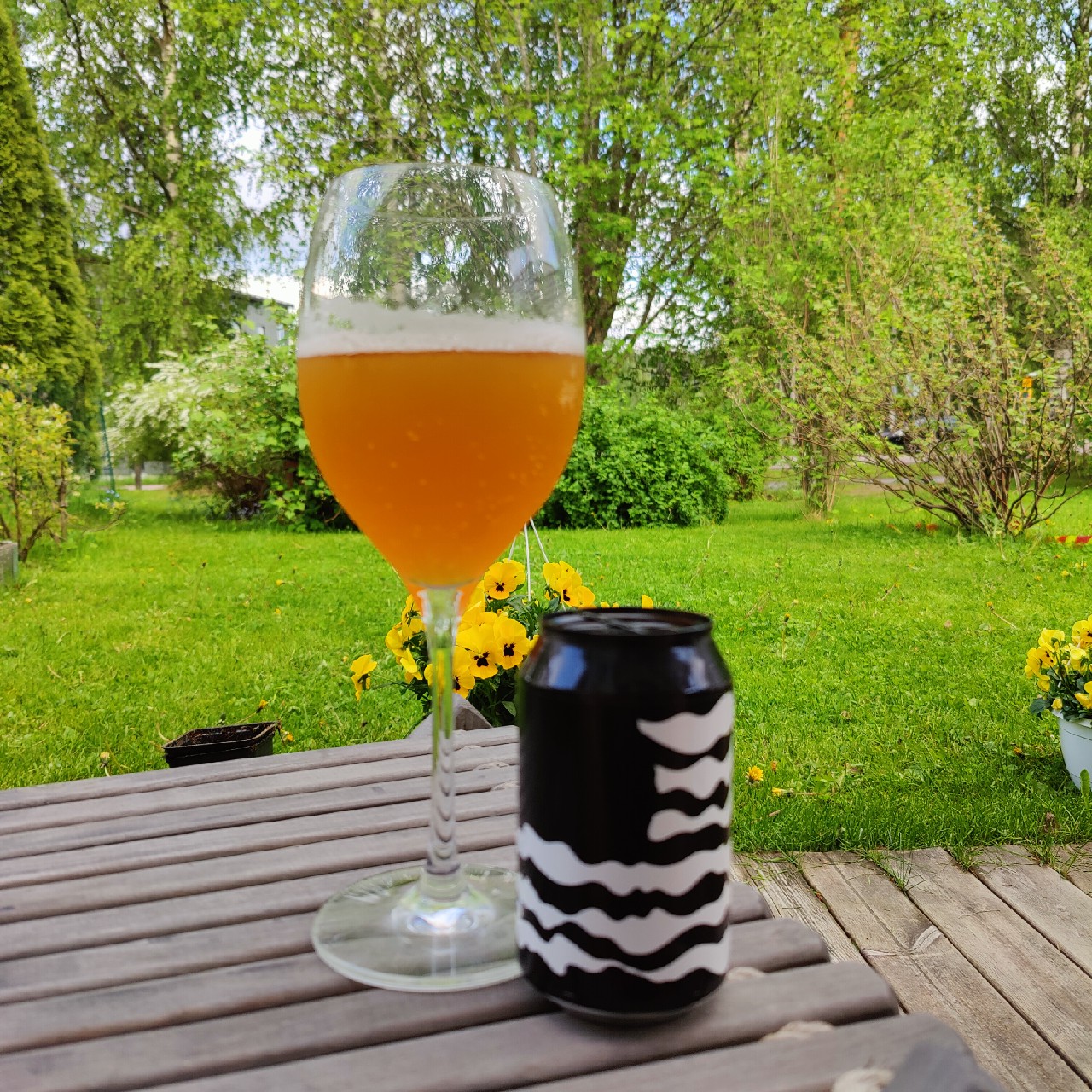 Nebuchadnezzar, Sweden