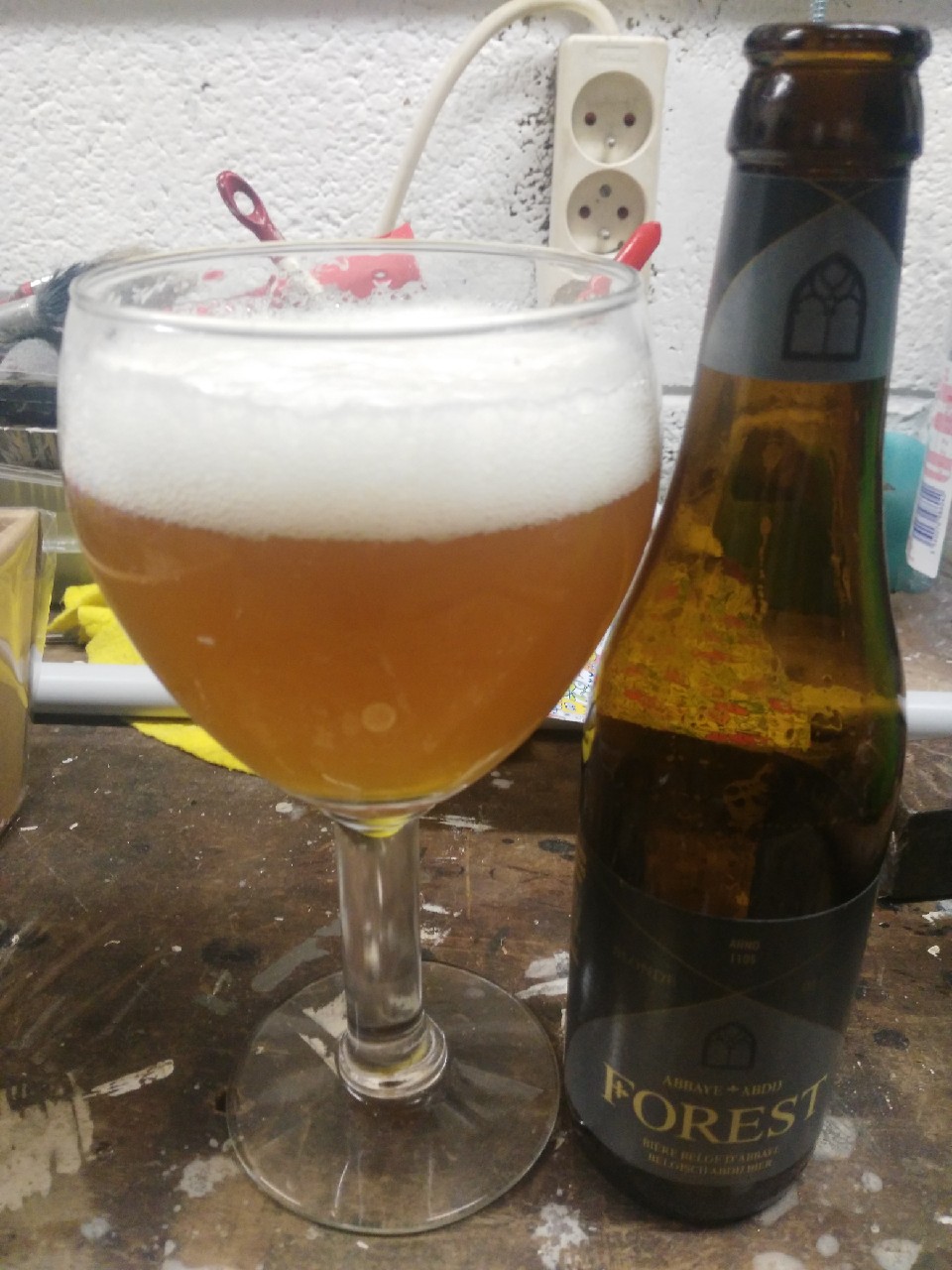 Abbaye de Forest Blonde, Belgium