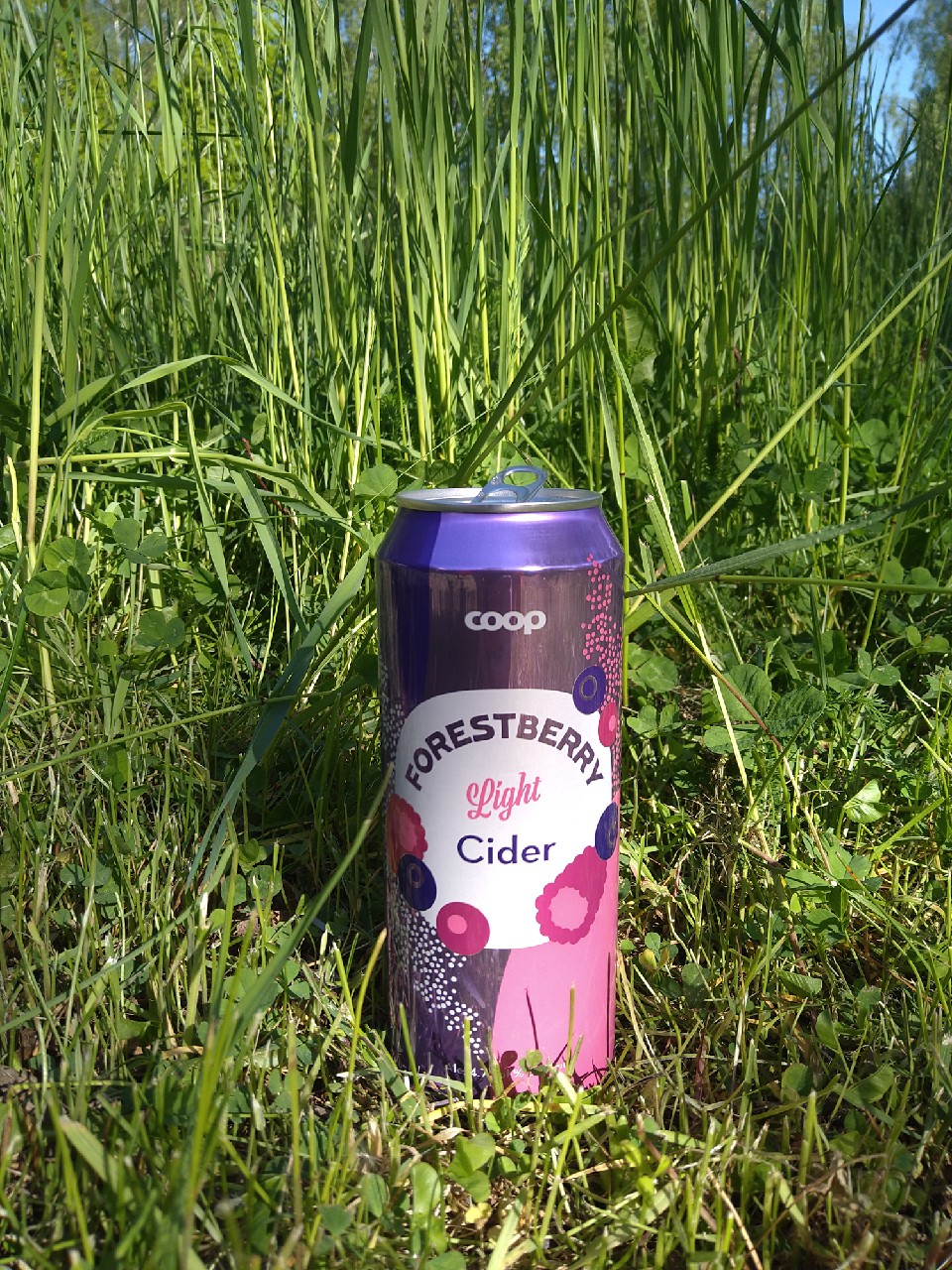 Rainbow Metsämarja, Finland