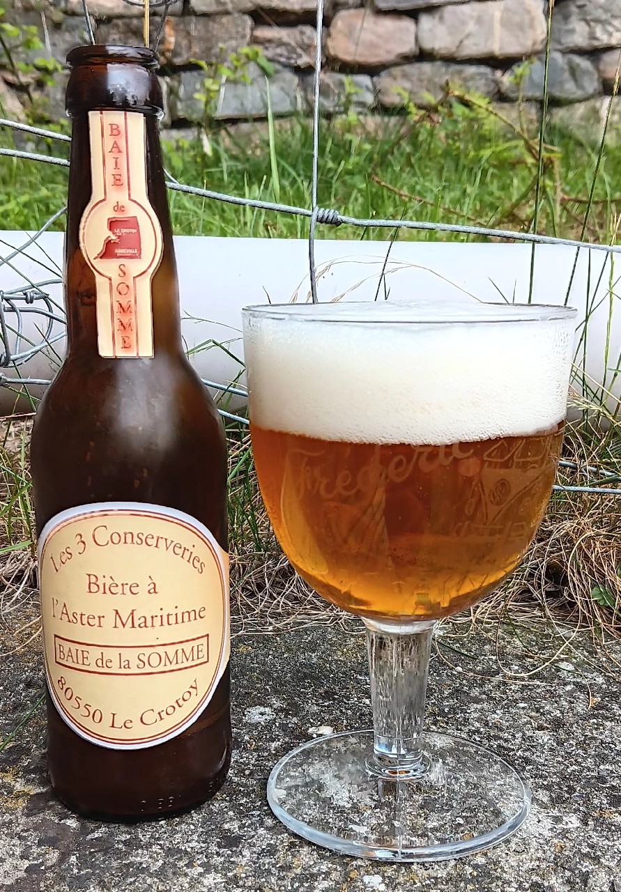 Bière À L'Aster Maritime, France