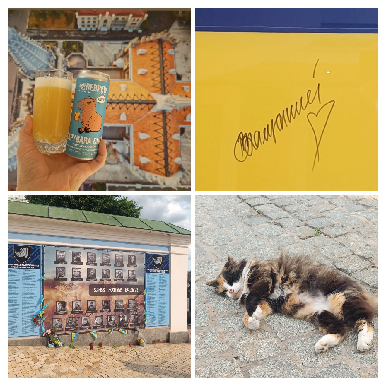 Capybara Chill, ReBrew